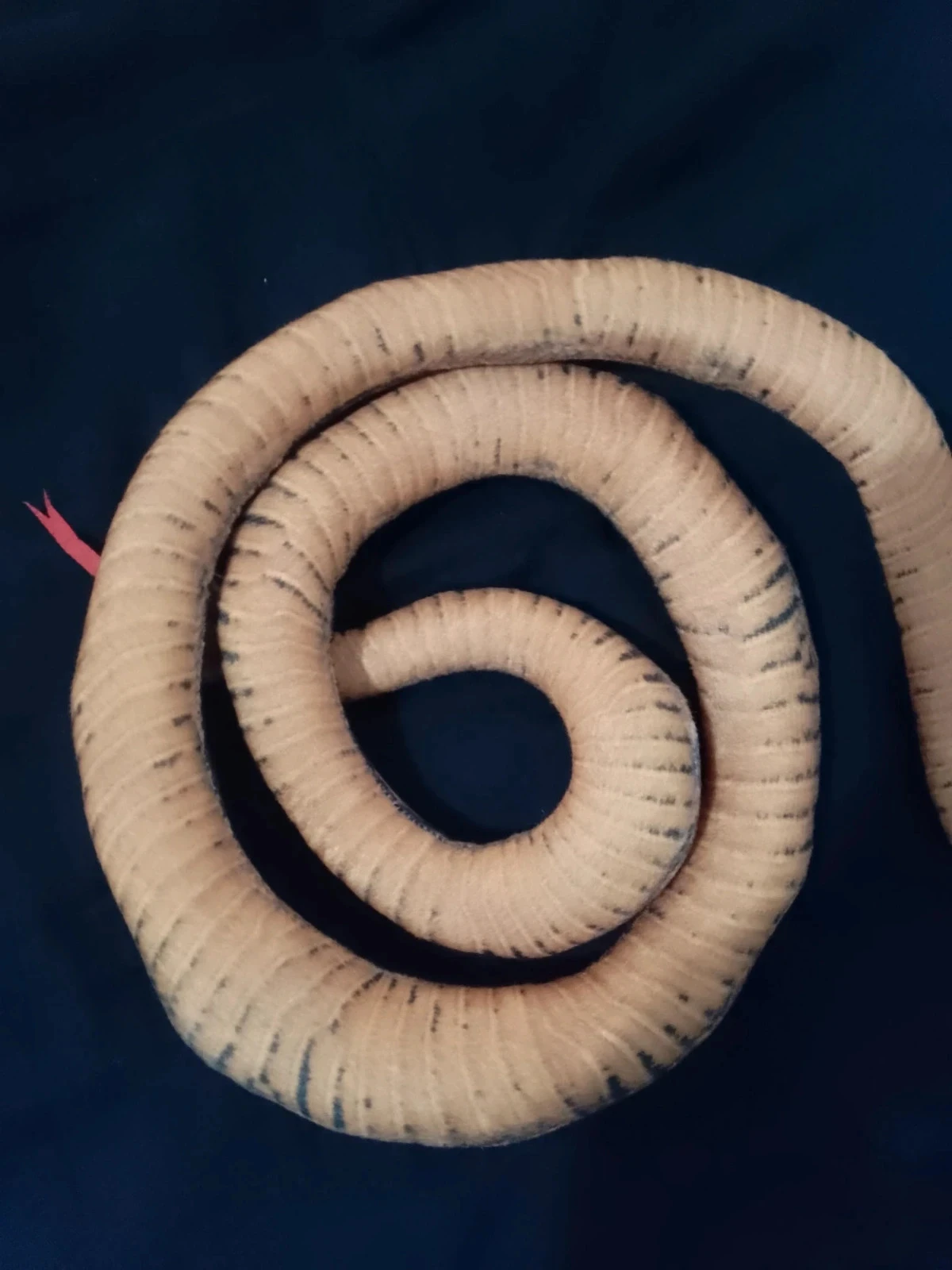 Gran peluche de serpiente enrollada – photo 3